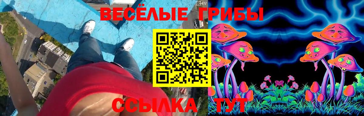 Галлюциногенные грибы мухоморы  Вход с VPN  Балашиха 
